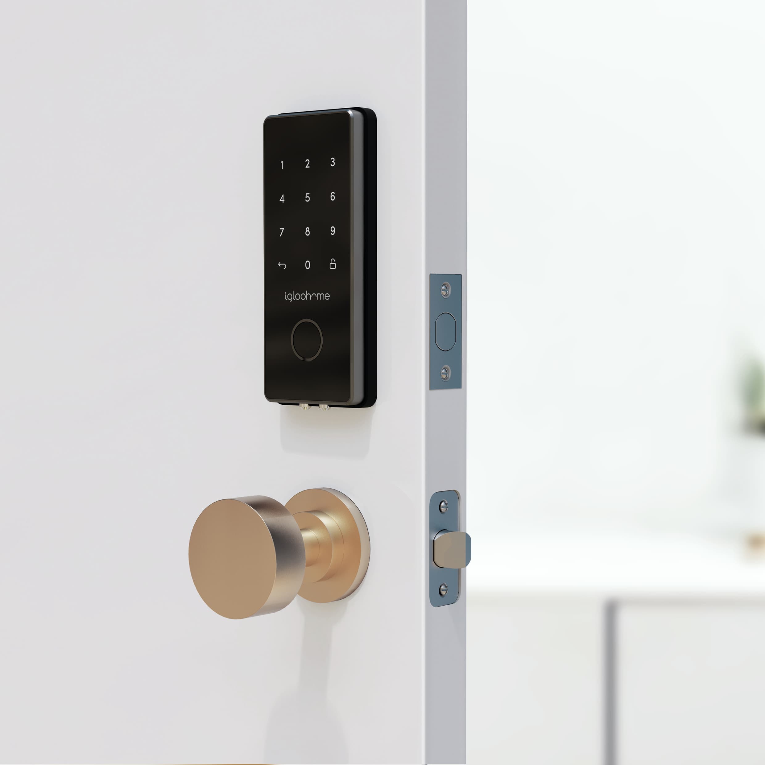 Deadbolt 2S Metal Grey Digital Lock (Pre-order)
