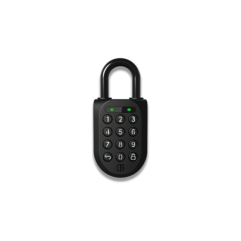 Padlock 2