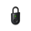 Padlock Lite