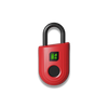 Padlock Lite