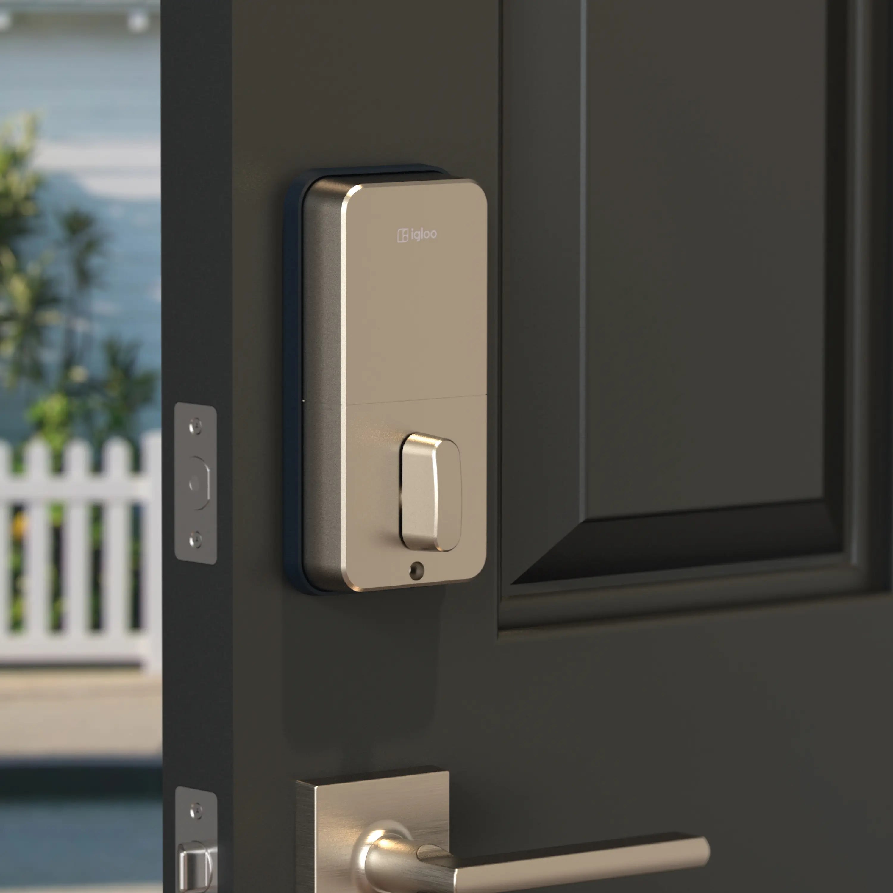 Shop Deadbolt Go Digital Lock from igloohome Official Store