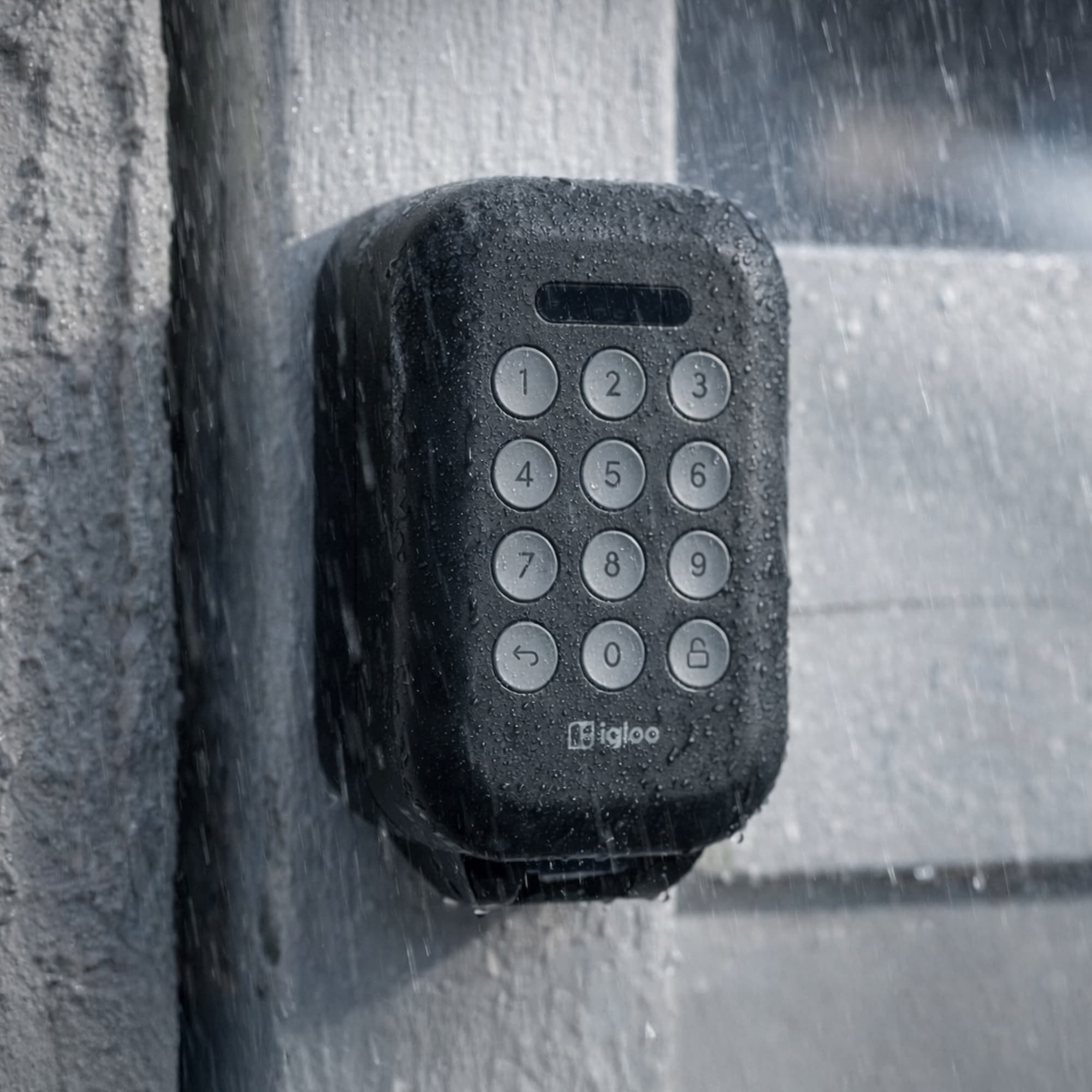 Rugged Outdoor Security