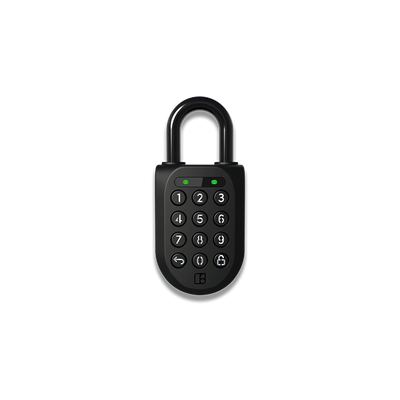 Padlock 2